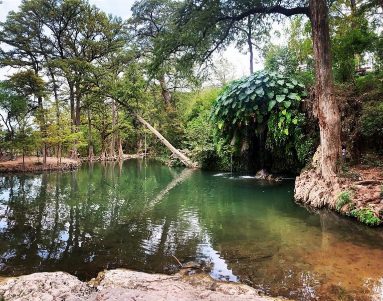 Austin.com Absolutely Everything You Need to Know About Krause Springs