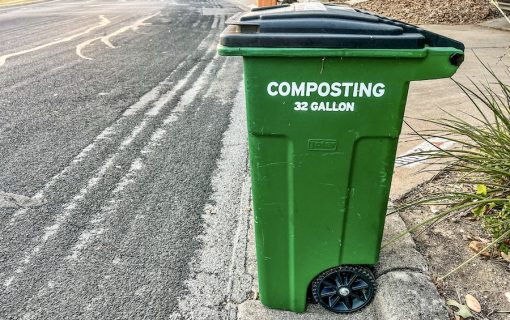 Your Complete Austin Composting Guide