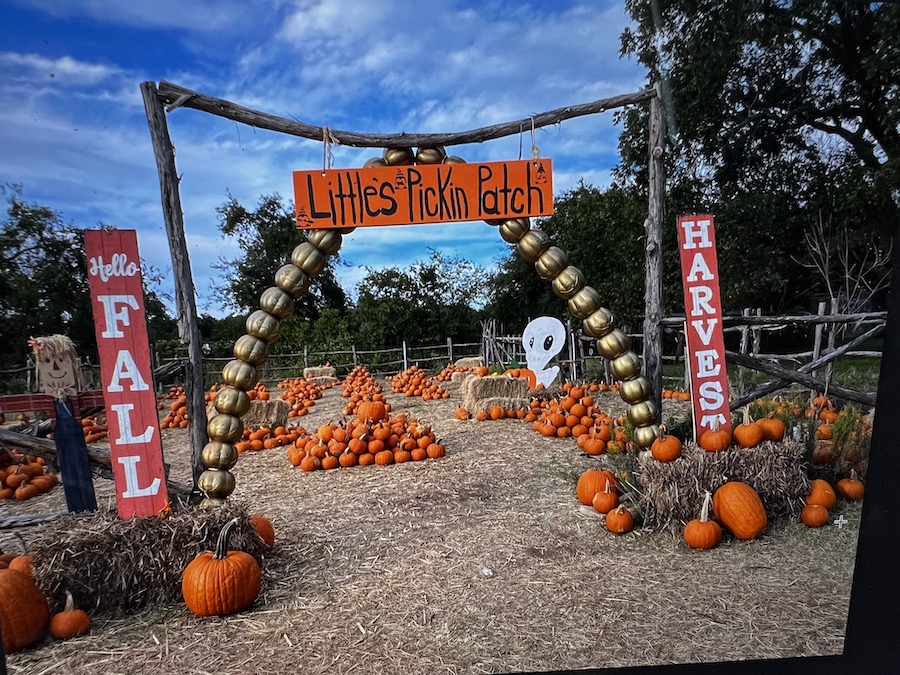 Fall Vlog  Outting With Friends, Pumpkin Patch, Haunted Cornmaze, and MORE  