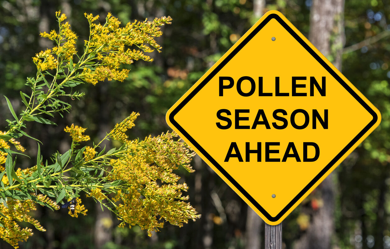 allergy season