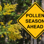 allergy season