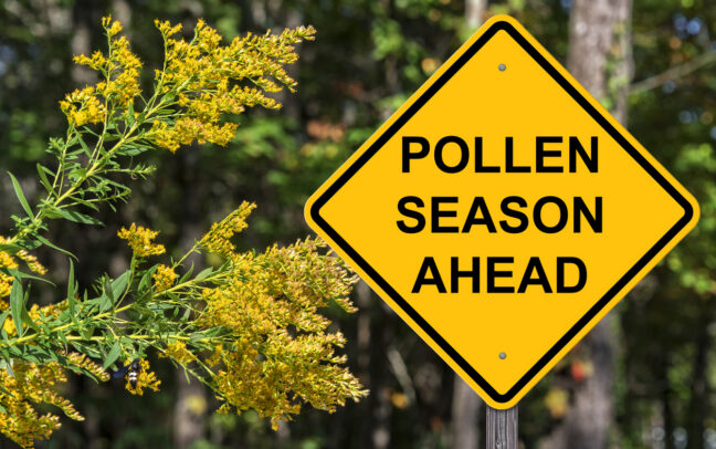allergy season